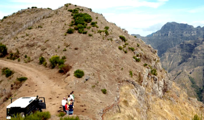 Delfinii sunt o încântare să-i privești cum fac salturi în Oceanul Atlantic