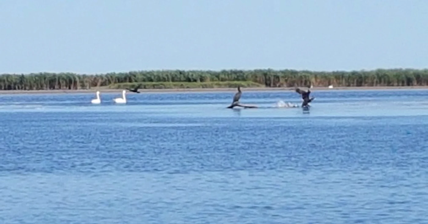 Delta Dunarii trasee