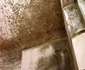 tuicani