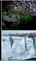 colaj national geo jpg