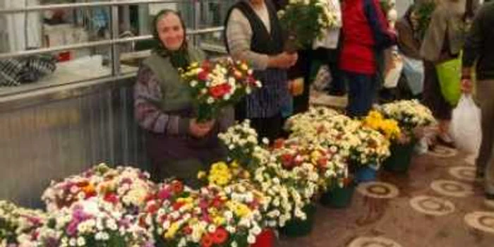 Râmnicu Vâlcea: Florile de toamnă au invadat piaţa centrală