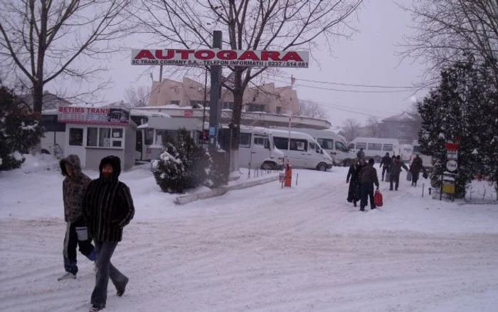 Cursele programate dimineaţă au fost anulate şi astăzi.