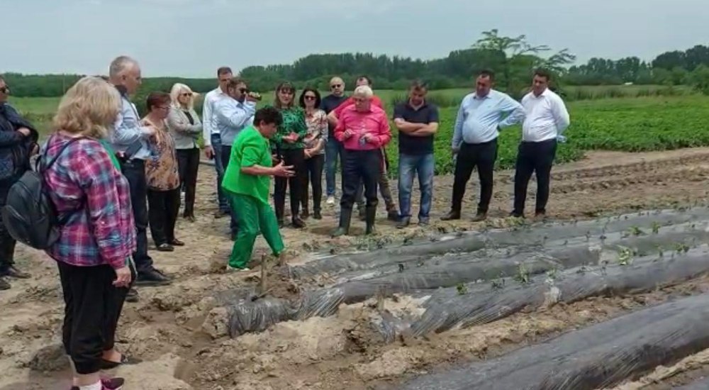 Fermierii din Dolj pot accesa fonduri europene pentru sisteme de irigații cu panouri fotovoltaice