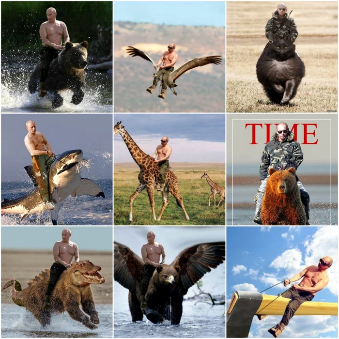 Colaj Putin pe animale