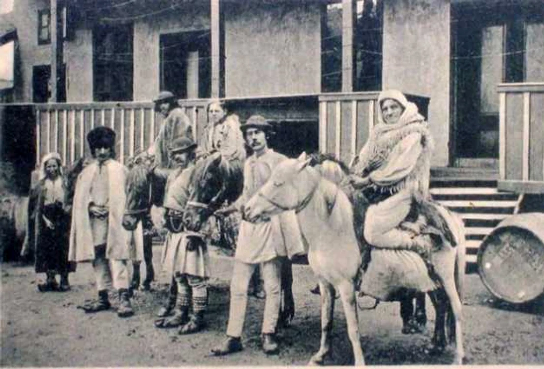Petroşani