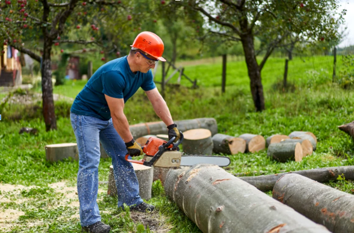  Cum să îți facilitezi treburile gospodărești cu ajutorul obiectelor. Foto: Shutterstock.com 