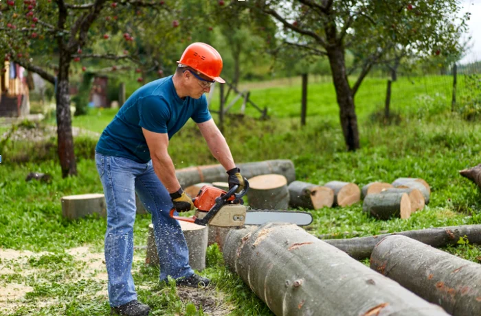  Cum să îți facilitezi treburile gospodărești cu ajutorul obiectelor. Foto: Shutterstock.com 
