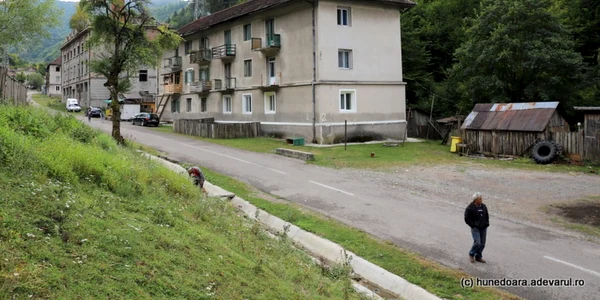 baita plai foto adevarul daniel guta