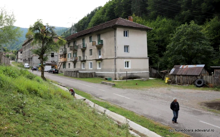 Băiţa Plai. Foto: Daniel Guţă. ADEVĂRUL