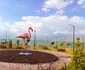 Parcul Lacului Ercek din Turcia locul unde pot fi admirate păsările flamingo Foto Daciana Stoica pentru Adevărul