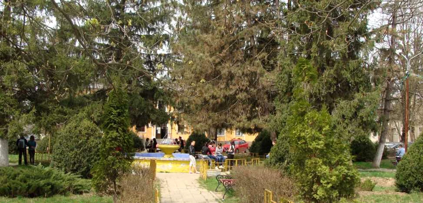 In centrul orasului Balcesti interlopii au devastat masini si au blocat o strada
