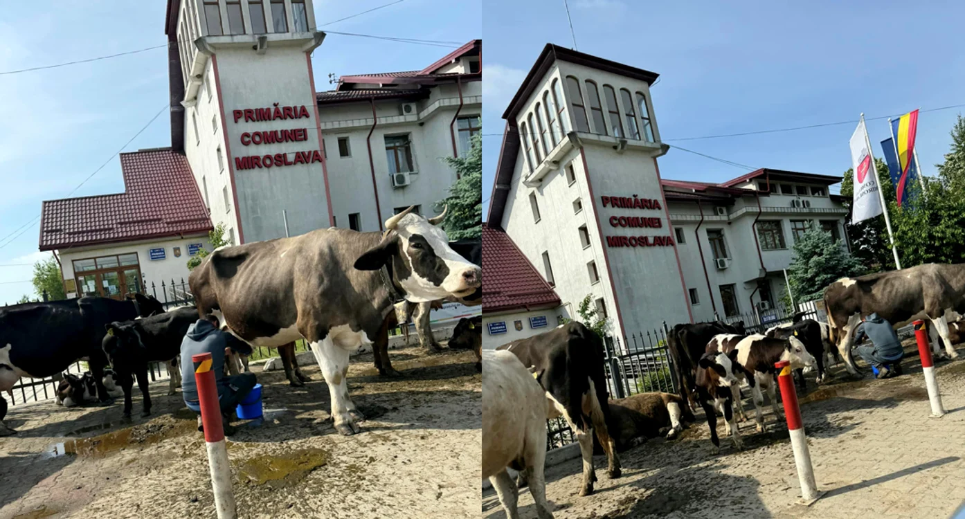 Protest Miroslava SURSĂ Facebook Ești din Miroslava Dacă
