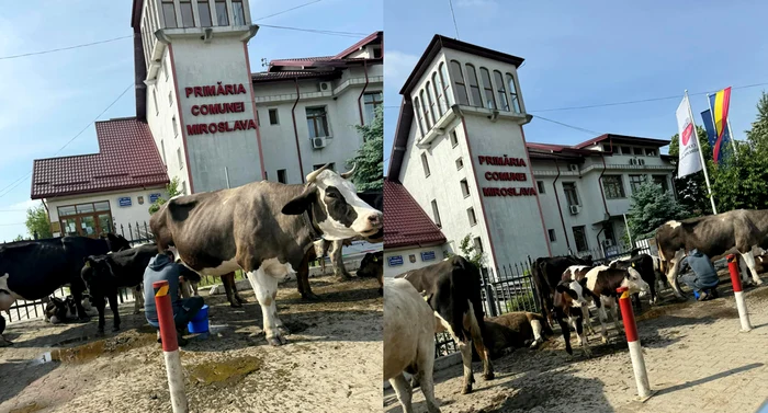 Protest Miroslava SURSĂ Facebook Ești din Miroslava Dacă