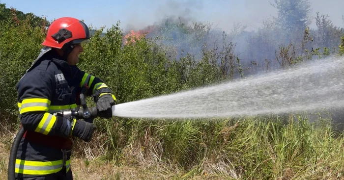 incendii vegetatie uscata