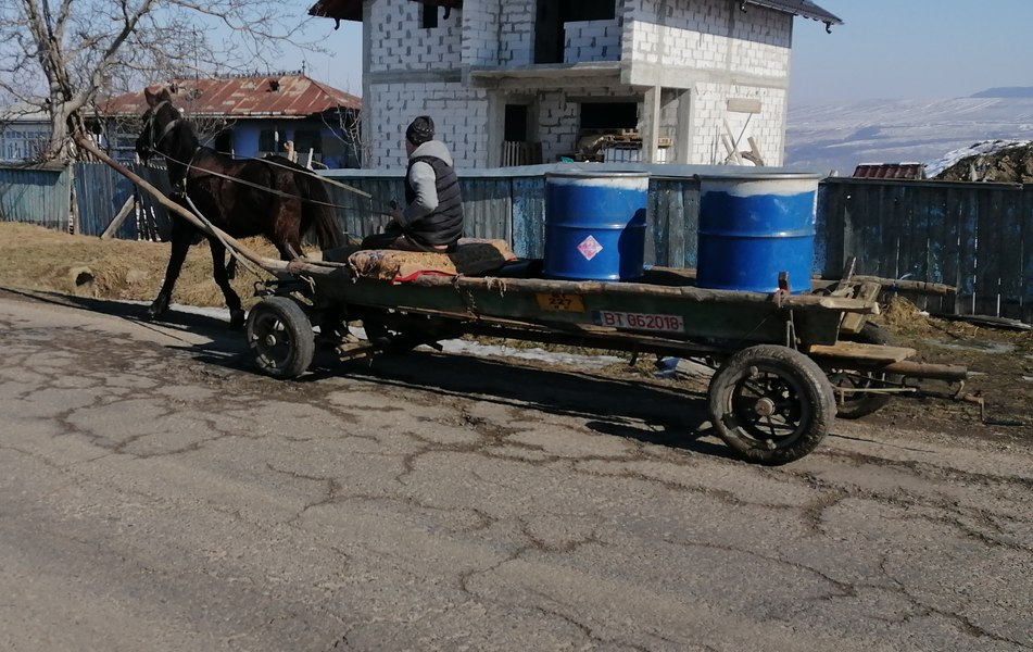 Toalete mobile pentru cai, obligatorii într-o localitate din județul Sibiu. Cine nu își dotează căruța, ia amendă