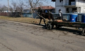 localnicii duc apa cu caruta FOTO Cosmin Zamfirache jpg