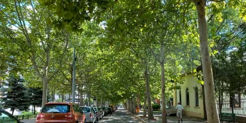 strada kogalniceanu vaslui