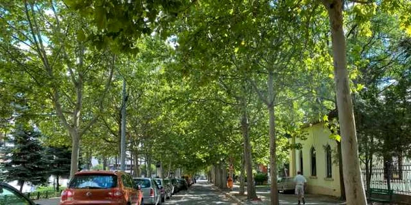 strada kogalniceanu vaslui