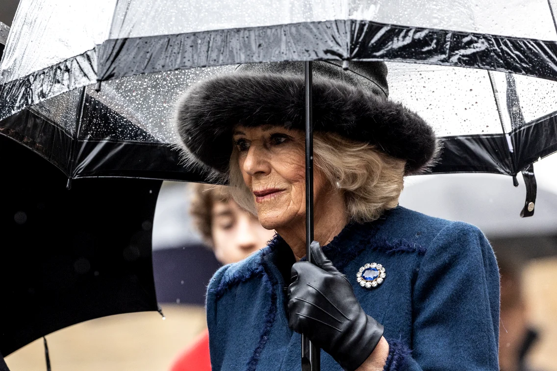 Regina Camilla și Regele Charles în Germania