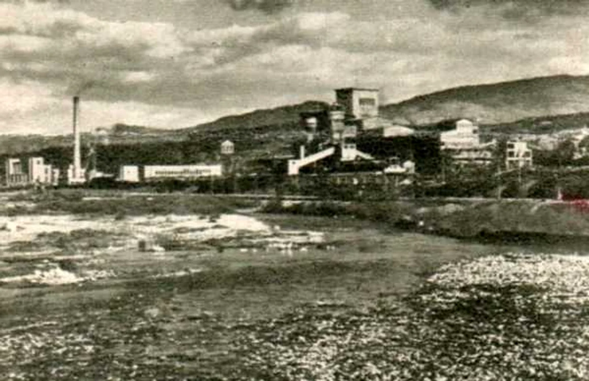 petrila