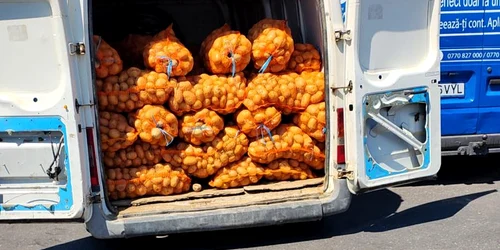 carofi piata victoriei jpeg