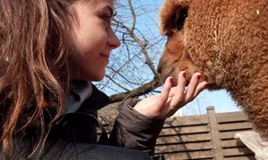 Georgiana a fost cea care a venit cu ideea să cumpere o alpaca jpeg