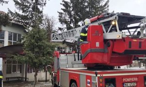 un copac a cazut peste acoperisul unui spital in botosani foto facebook stiri botosani png