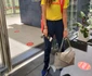 5 tenismena mihaela buzarnescu despartire marco dulca abuz mental 4 jpg jpeg