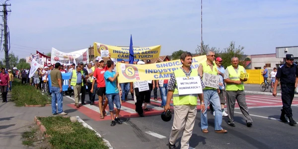 protest campia turzii