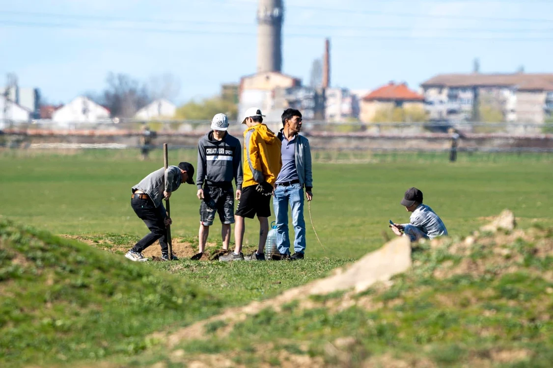 Vietnamezii sapă după popândăi FOTO Anamaria Manolea