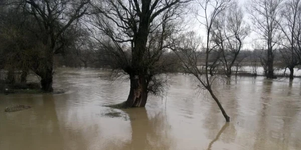 inundatii olt