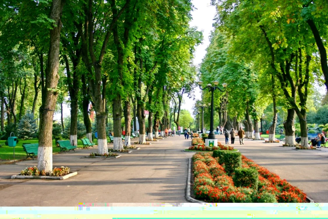 Parcul Copou este vizitat zilnic de aproximativ 2.000 de oameni FOTO:adevarul