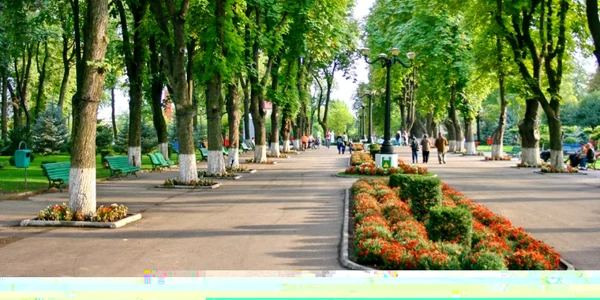 Parcul Copou din Vaslui este unul dintre cele mai frumoase din ţară FOTO