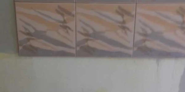 locuinta sociala 