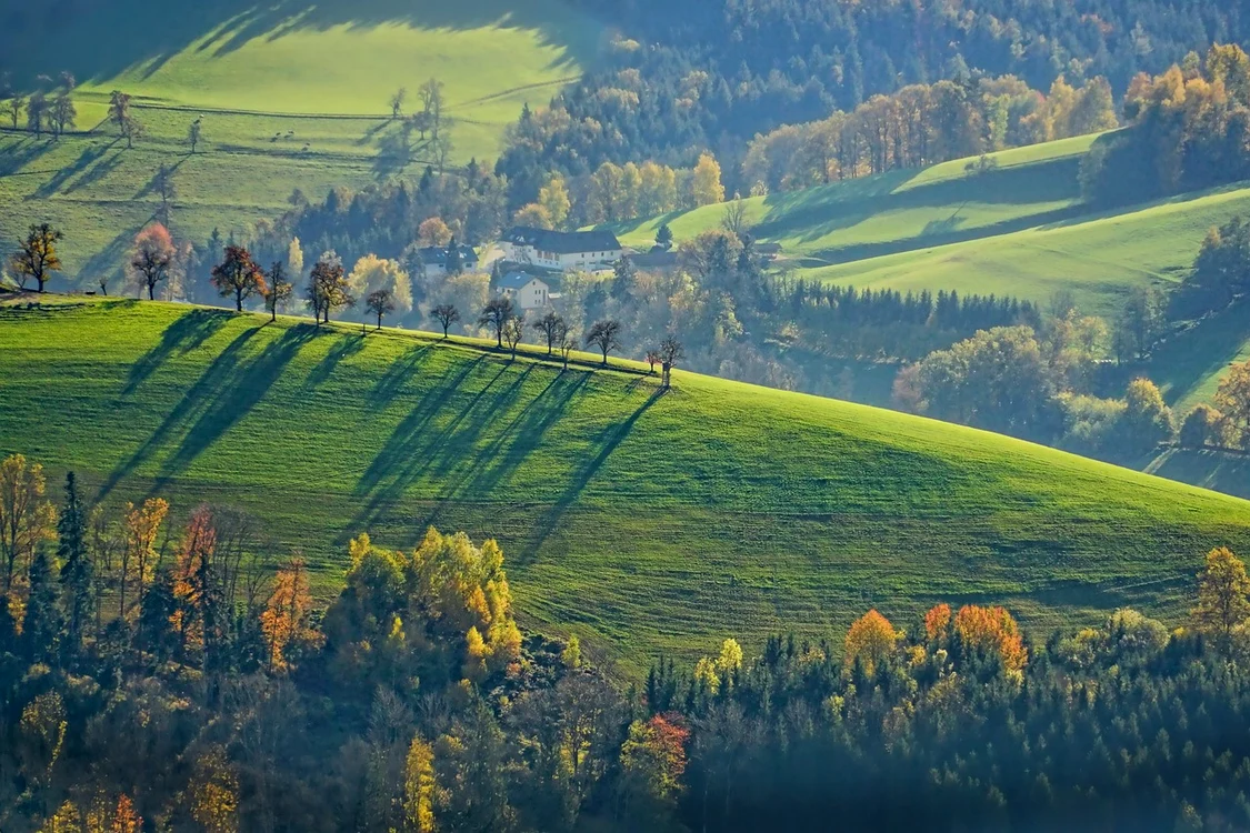 Satul Gresia este păsăsit / foto: Pixabay