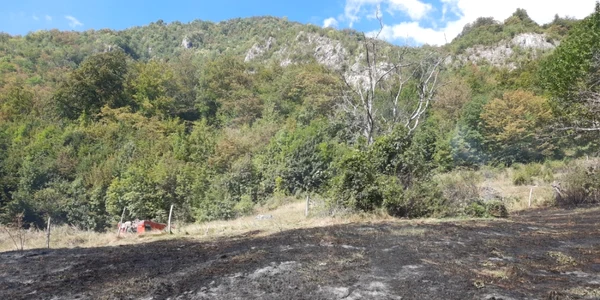 Incendiu la graniţa cu Parcul Naţional Buila - Vânturariţa din judeţul Vâlcea Foto ISU Vâlcea