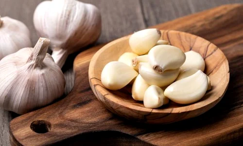 1 shutterstock 1312901660 jpg jpeg