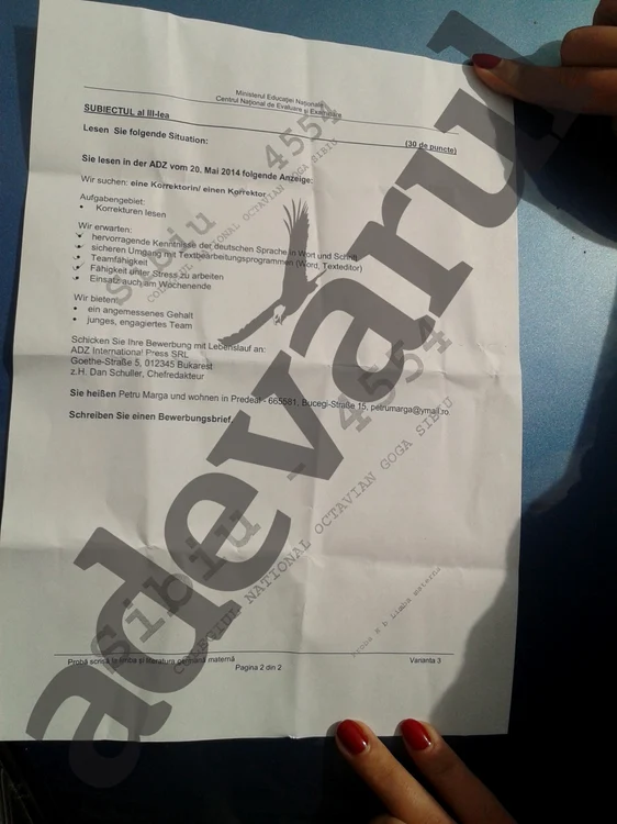 subiecte limba materna germana bac 2014 adevarul