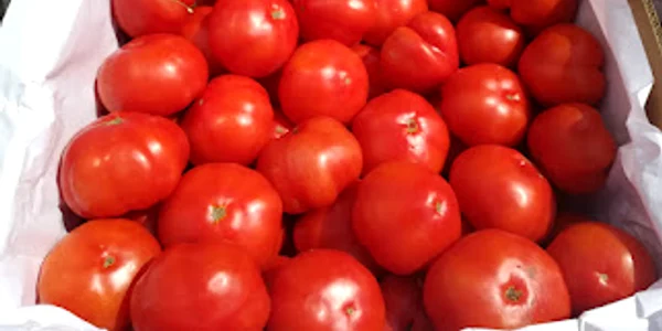 rosii matca 1 jpg