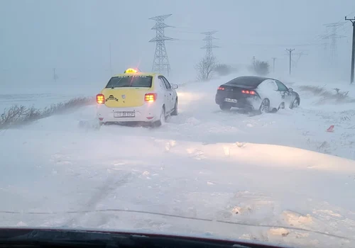 Dobrogea viscol FOTO ISU jpg