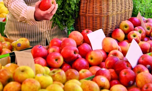 1 47557 original jpg jpeg