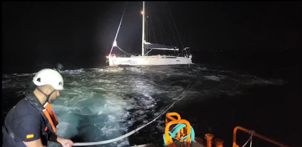 Iaht elvețian, scufundat de trei orci în Gibraltar. Membrii echipajului au fost salvați