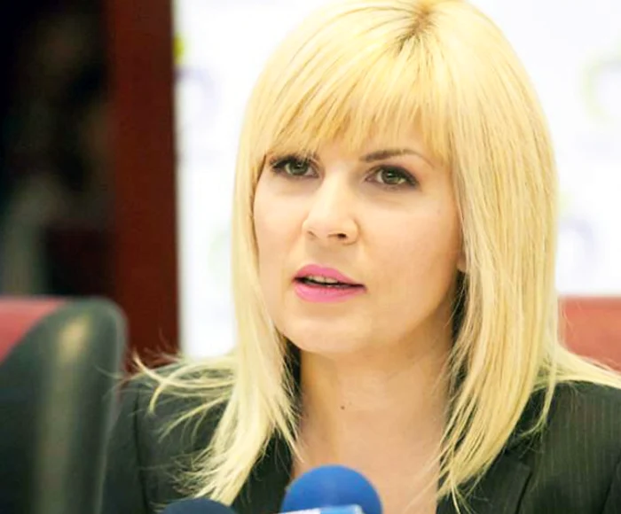 
    Dorin Cocoş şi Elena Udrea au divorţat după un deceniu de relaţie  
