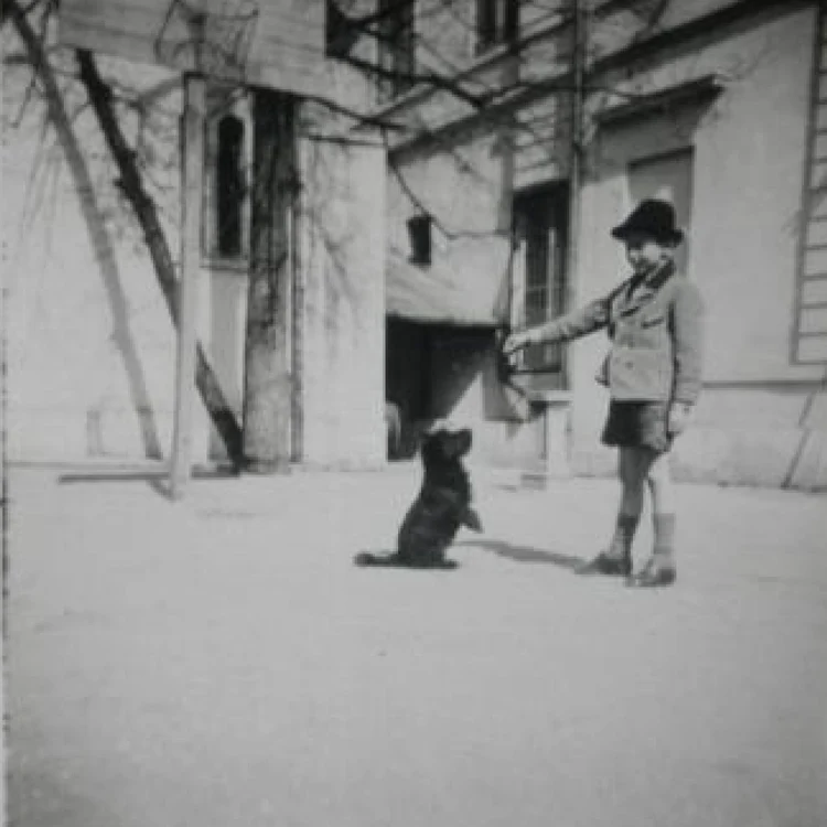 copii2