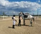 Baza hipică CS Cantemir Timișoara FOTO Ștefan Both