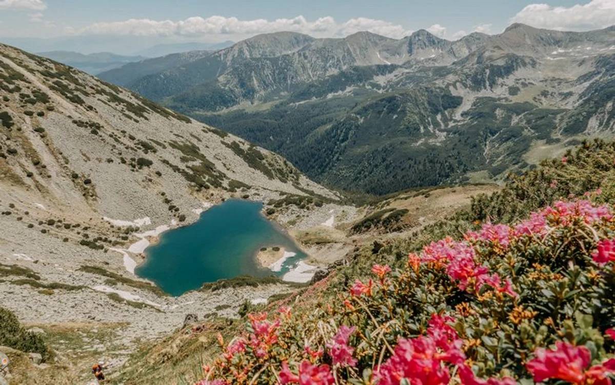 Tăul Țapului, vara. Foto: Lucin Ignat. 