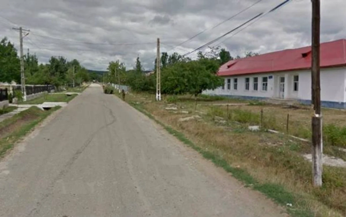 În satul vasluian Racovița sunt 22 de persoane infectate