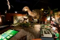 dinozaur isle of wight jpg