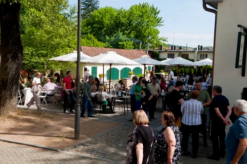 Atracții la Castelul Săvârșin. FOTO: Daniel Angelescu, Casa Majestăţii Sale