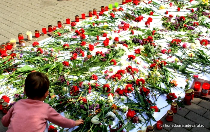 crucea de flori foto daniel guta adevarul